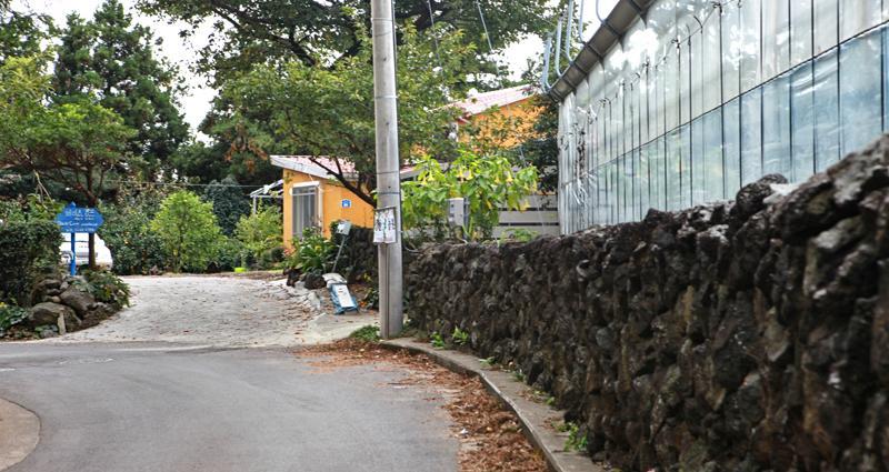 Basecamp Guesthouse Seogwipo Exterior photo
