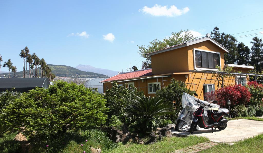 Basecamp Guesthouse Seogwipo Exterior photo